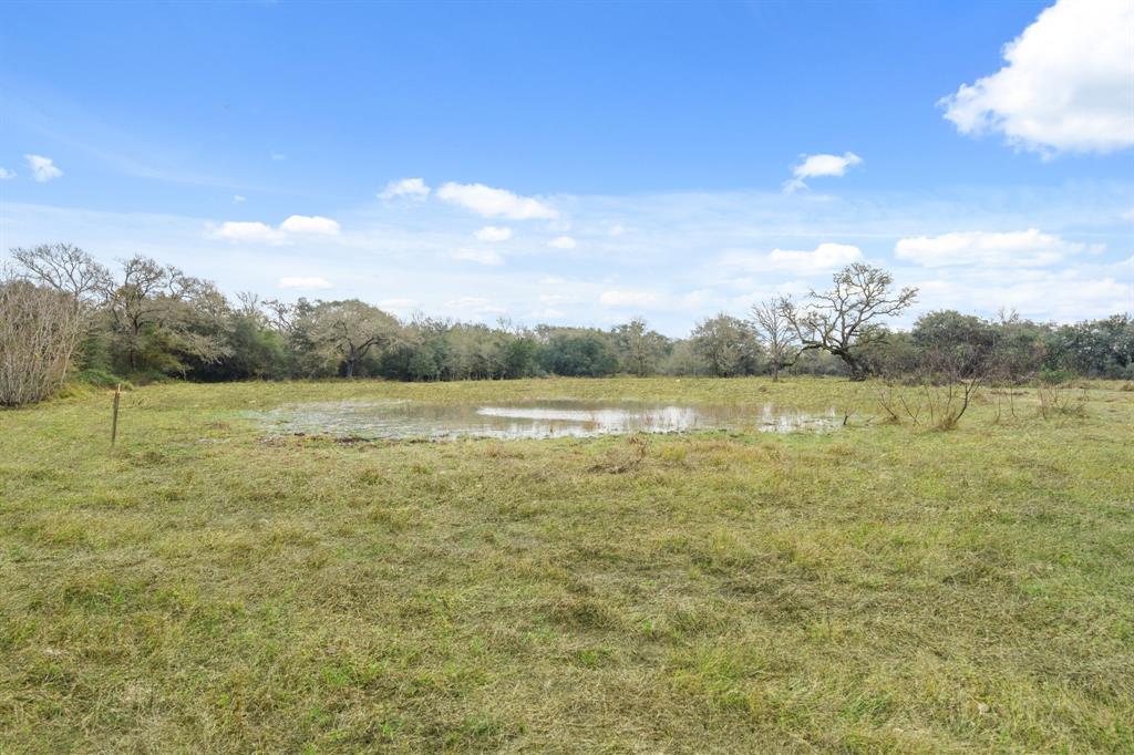 00 Dewberry Lane, Louise, Texas image 7