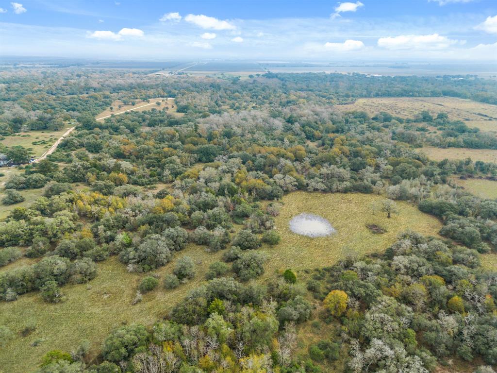 00 Dewberry Lane, Louise, Texas image 4