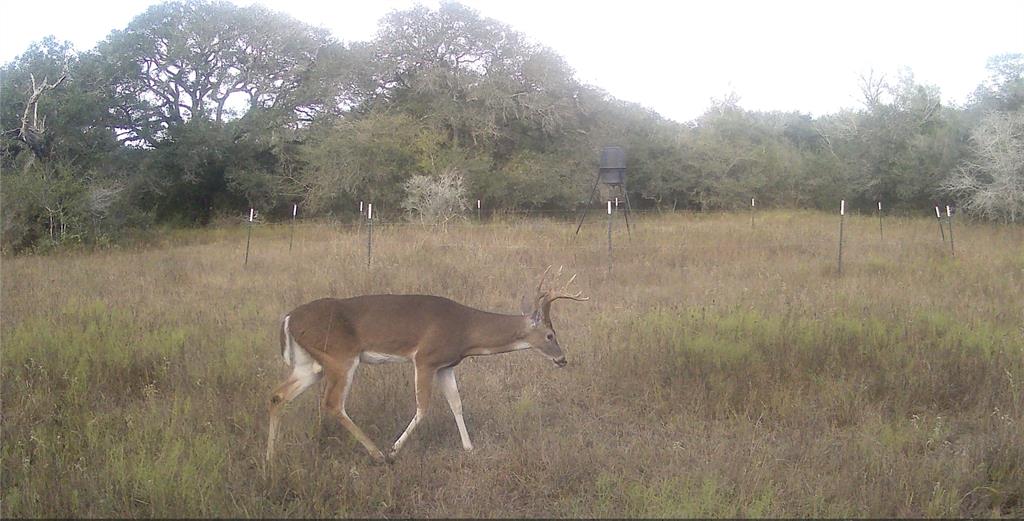 00 Dewberry Lane, Louise, Texas image 26