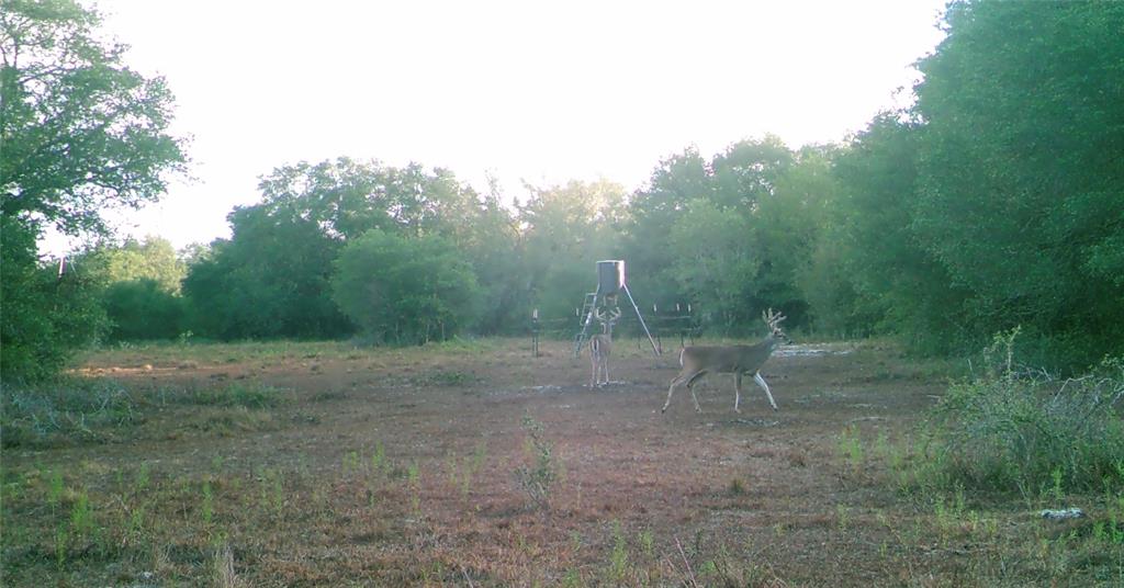 00 Dewberry Lane, Louise, Texas image 32