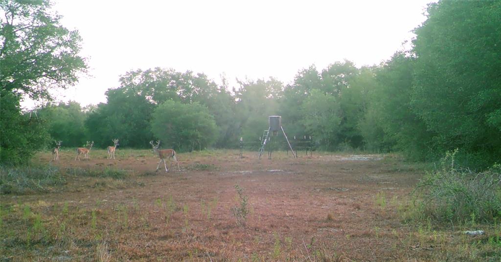 00 Dewberry Lane, Louise, Texas image 30