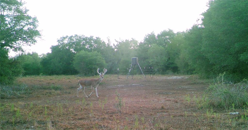 00 Dewberry Lane, Louise, Texas image 28