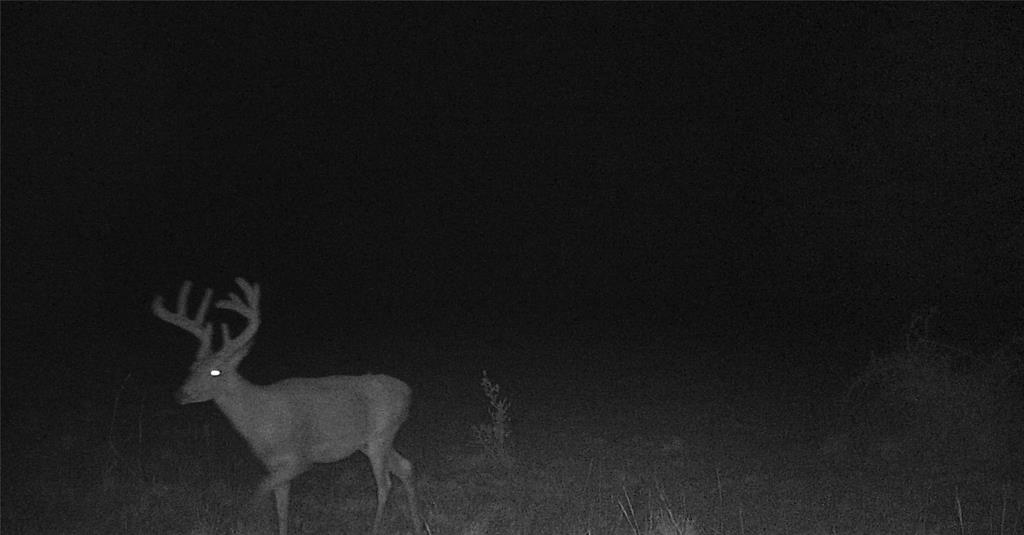 00 Dewberry Lane, Louise, Texas image 33