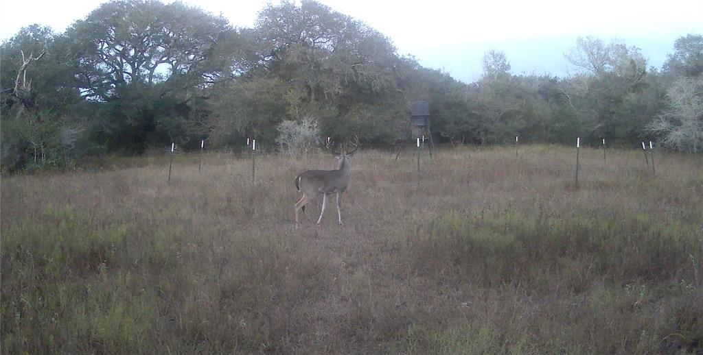 00 Dewberry Lane, Louise, Texas image 24