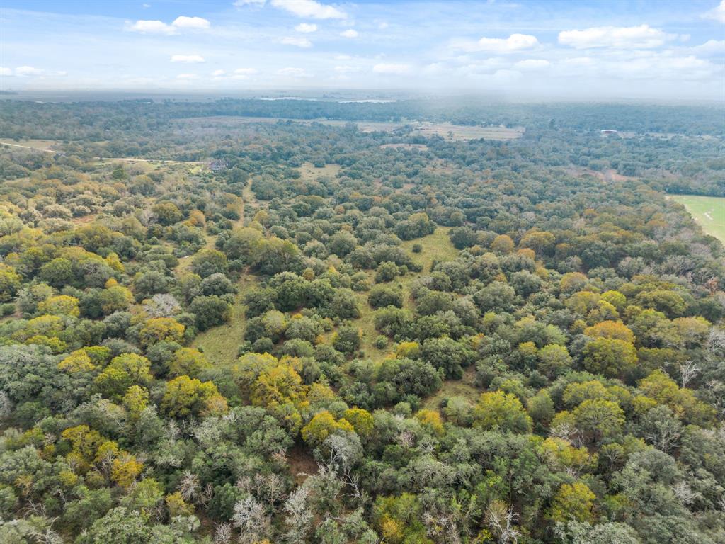 00 Dewberry Lane, Louise, Texas image 6