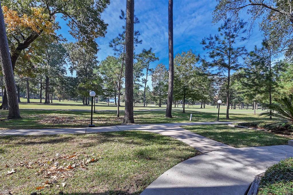 12900 Walden Road #312C, Montgomery, Texas image 22