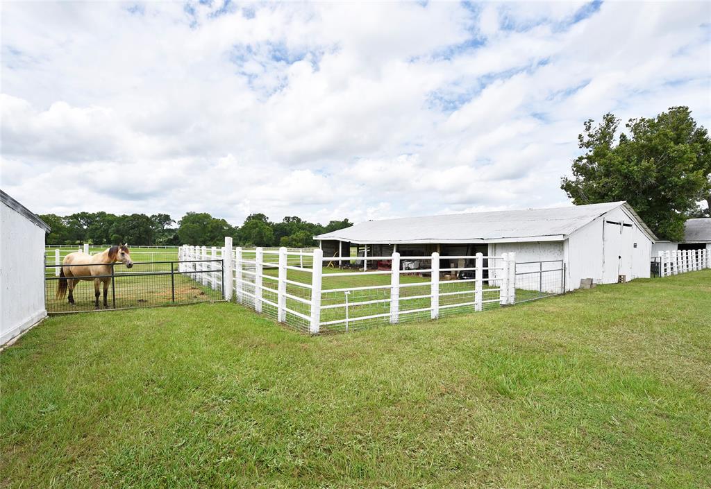 1140 Jones Road, New Waverly, Texas image 37