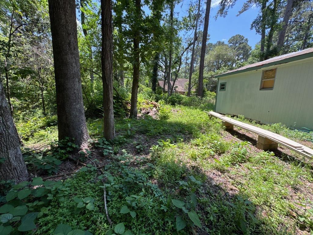 12033 Lakeside Drive, Conroe, Texas image 9