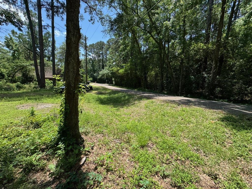 12033 Lakeside Drive, Conroe, Texas image 8