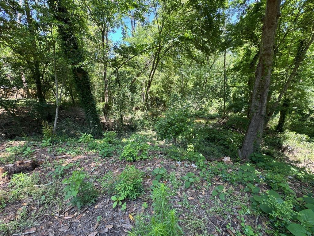 12033 Lakeside Drive, Conroe, Texas image 6