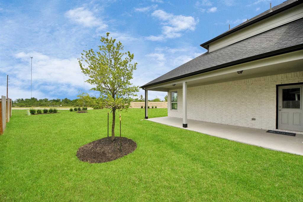 2142 Emerald Diamond Court Ct, Fresno, Texas image 35