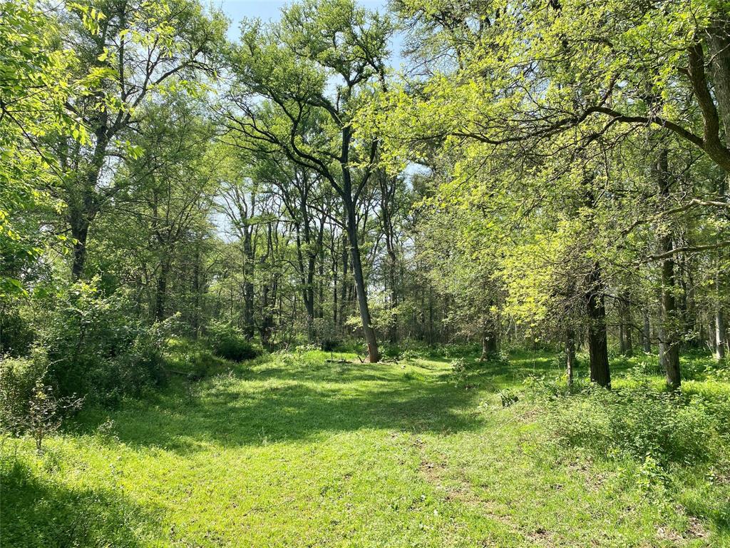 1985 County Road 309, Lexington, Texas image 15
