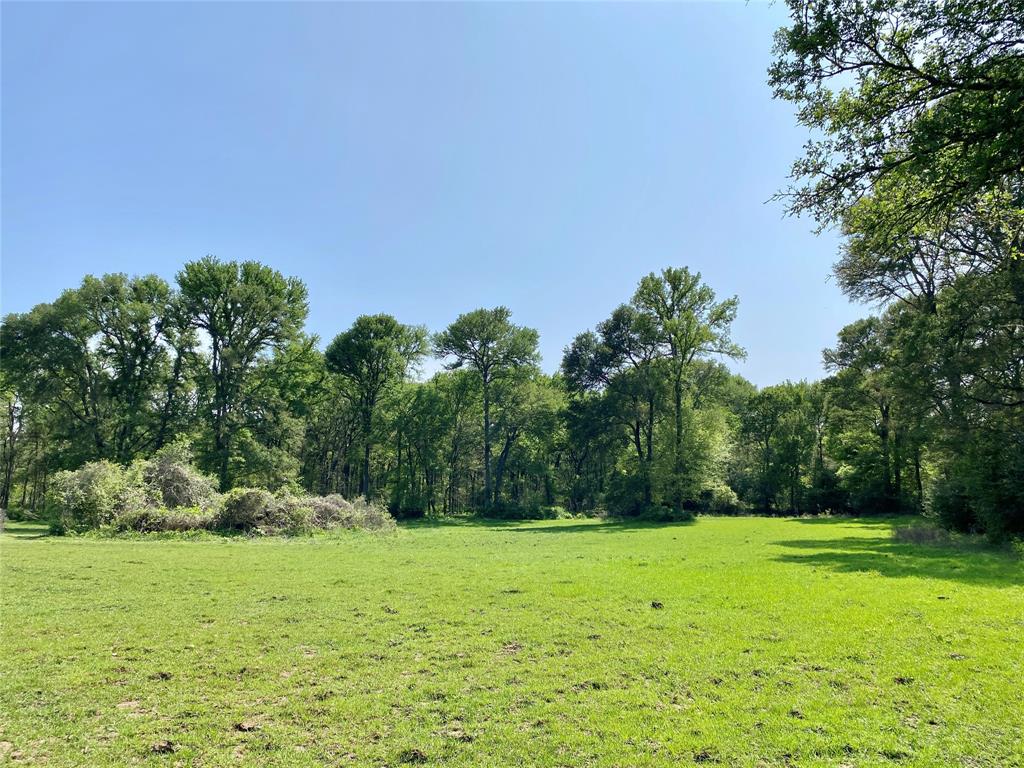 1985 County Road 309, Lexington, Texas image 3