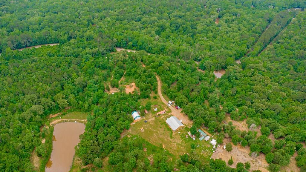 12787 Fm 1002, Big Sandy, Texas image 9