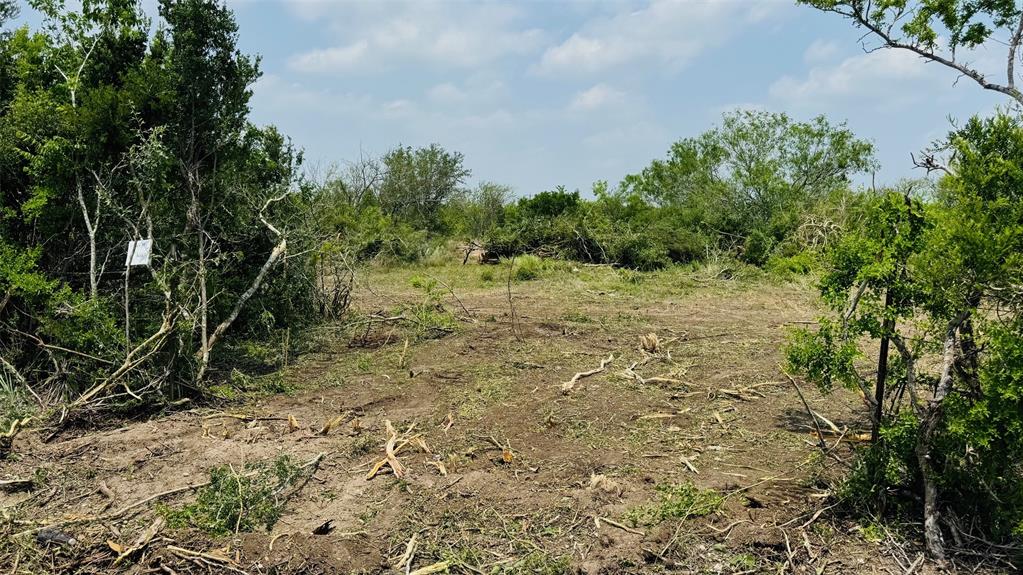 TBD Lot 1 6.47 AC Fm 888, Beeville, Texas image 3