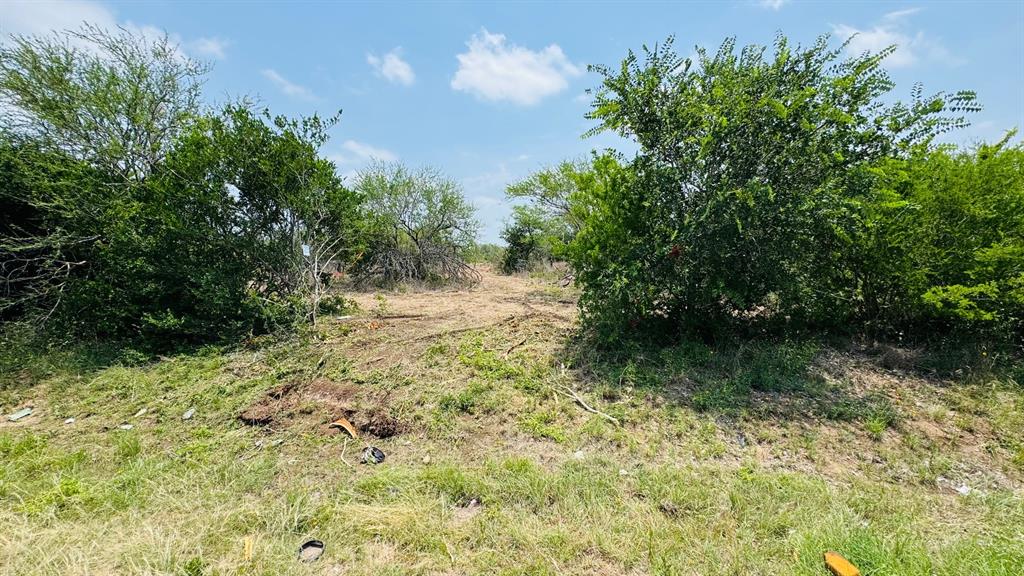 TBD Lot 1 6.47 AC Fm 888, Beeville, Texas image 4