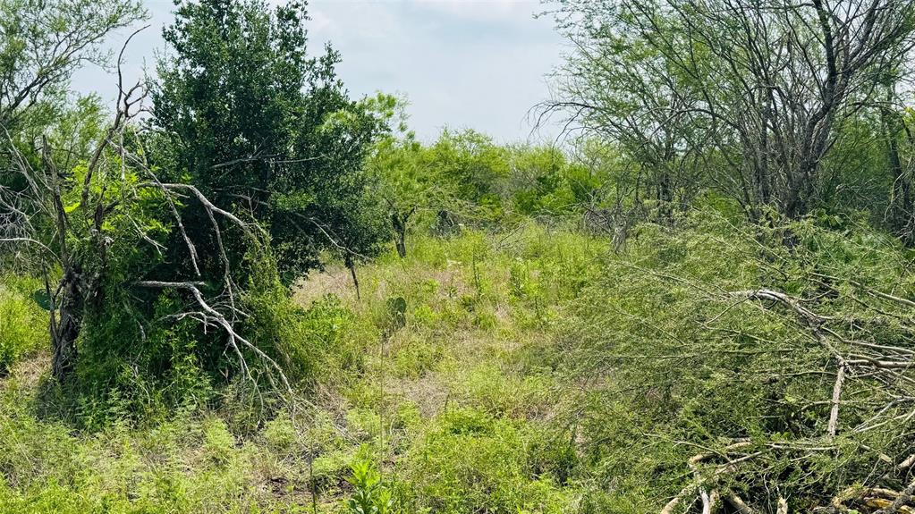 TBD Lot 1 6.47 AC Fm 888, Beeville, Texas image 6