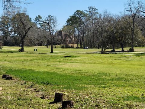 Single Family Residence in Conroe TX 824 Stone Mountain Drive 43.jpg