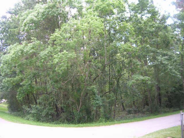 2707 Royal Circle Drive, Houston, Texas image 4