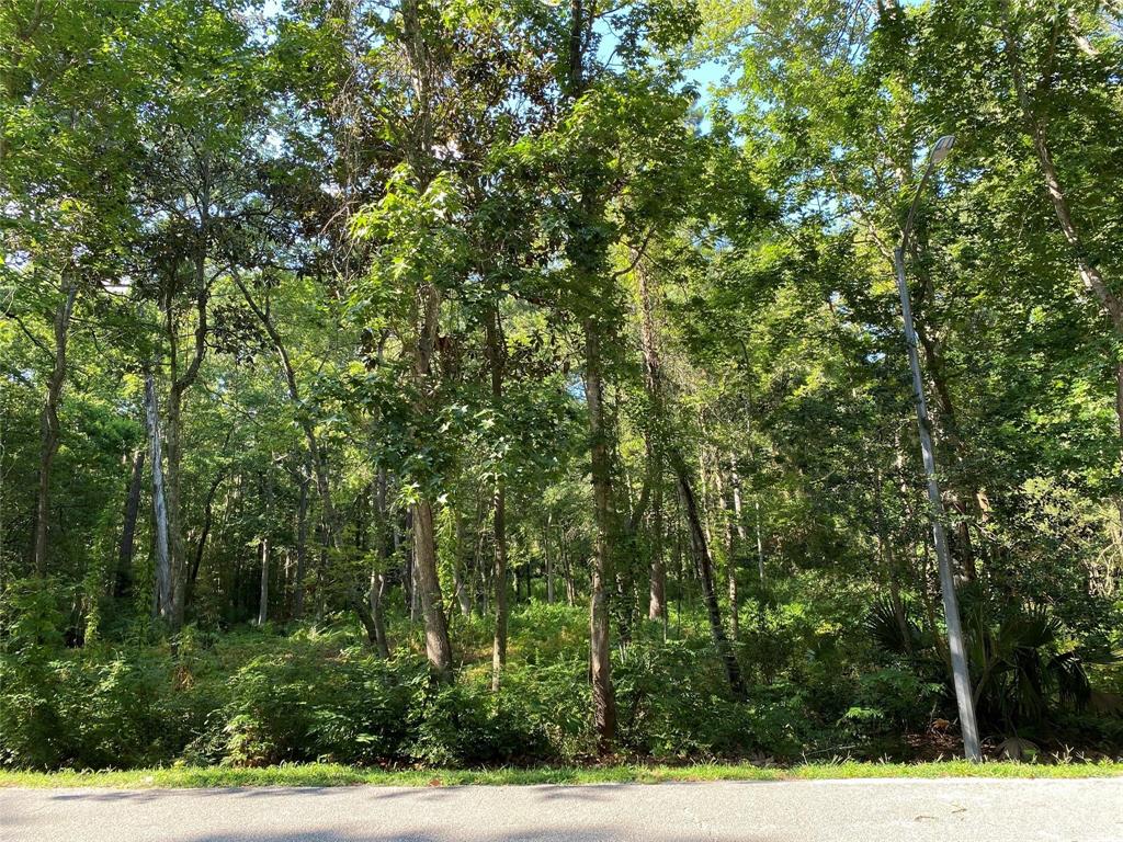 2707 Royal Circle Drive, Houston, Texas image 2