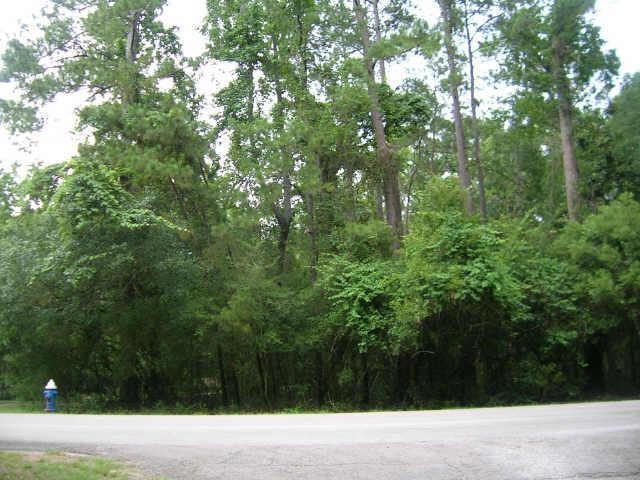 2707 Royal Circle Drive, Houston, Texas image 1