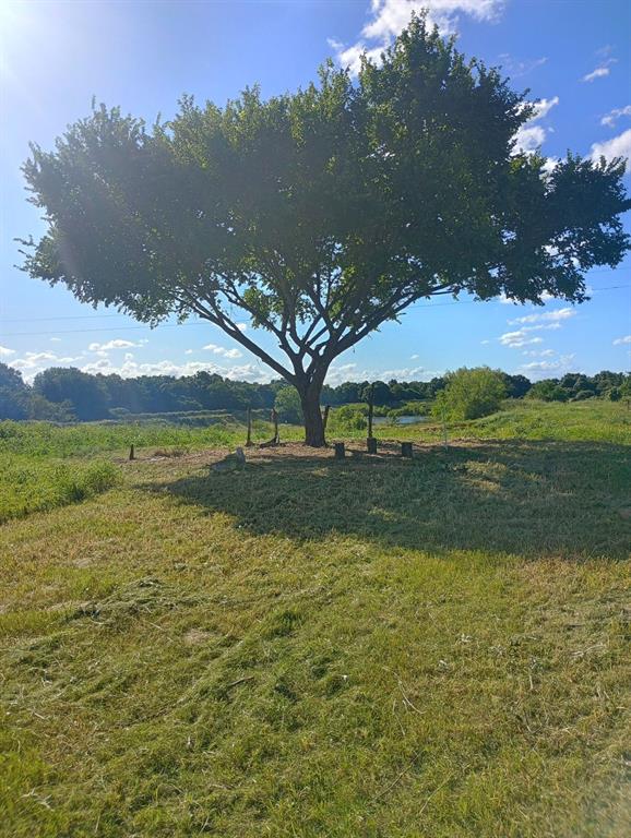 6758 Colvin Road, Burton, Texas image 29