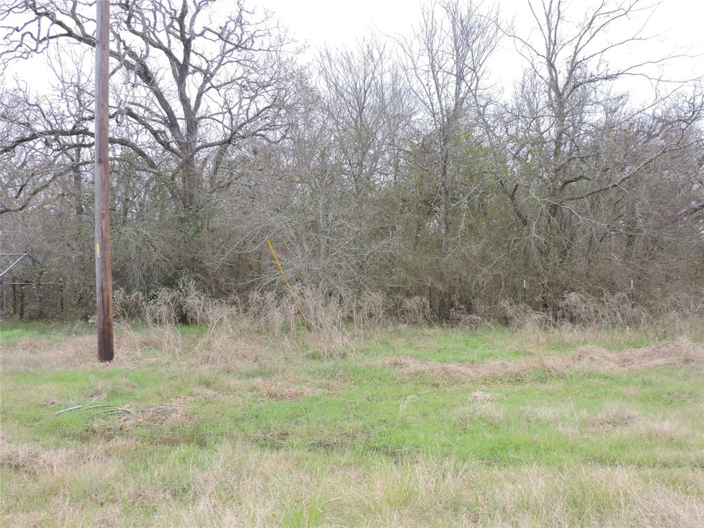 14822 County Road 229, Bedias, Texas image 9