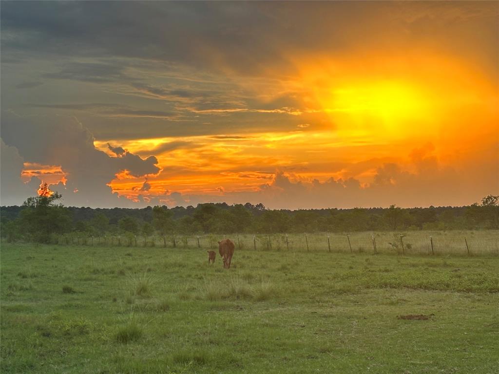 734 County Road 3011, Dayton, Texas image 30