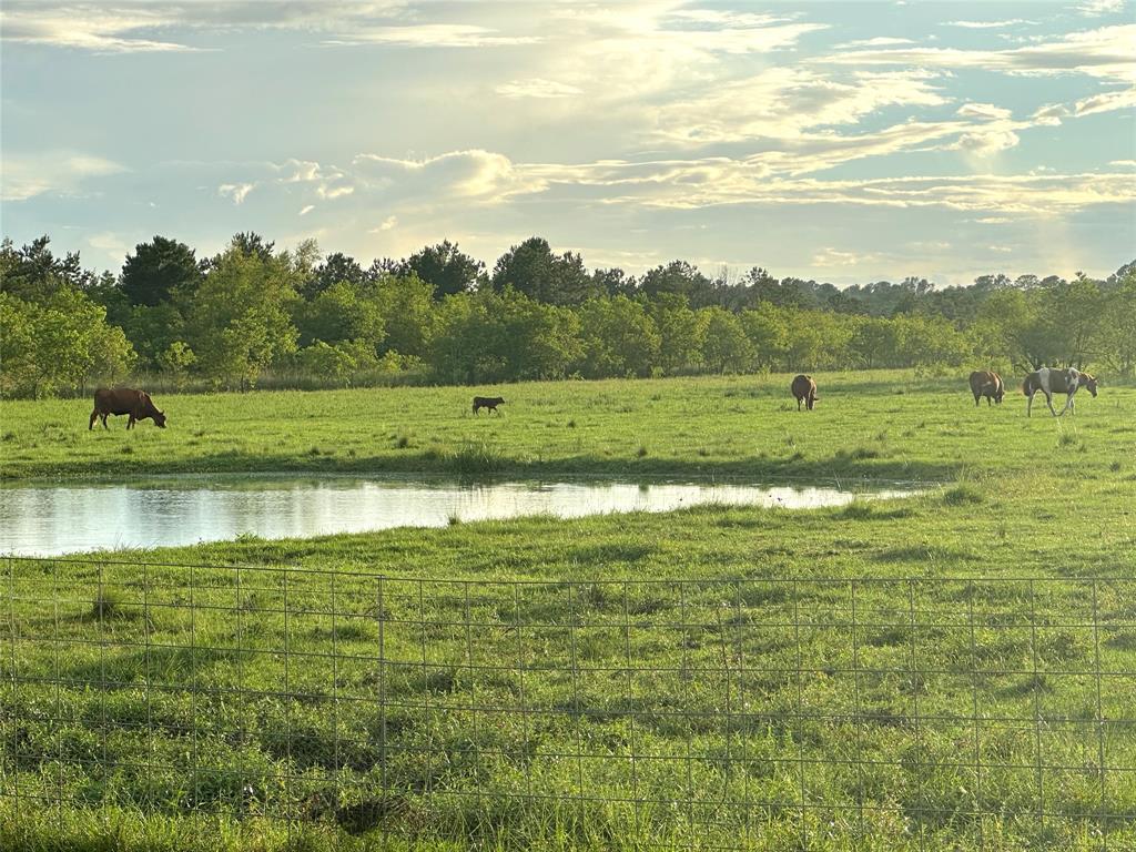 734 County Road 3011, Dayton, Texas image 31