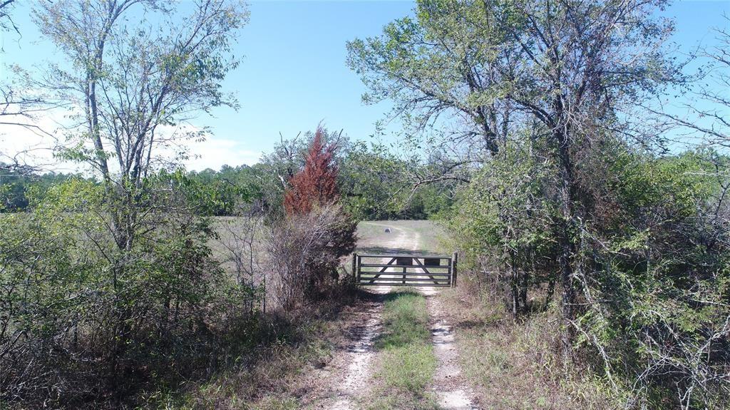 13.71 Acres Tract 1 Tbd Percy Howard Rd, Huntsville, Texas image 2