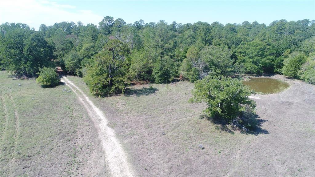 13.71 Acres Tract 1 Tbd Percy Howard Rd, Huntsville, Texas image 6