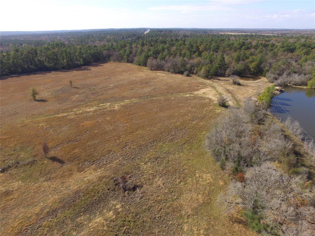 13.71 Acres Tract 1 Tbd Percy Howard Rd, Huntsville, Texas image 1