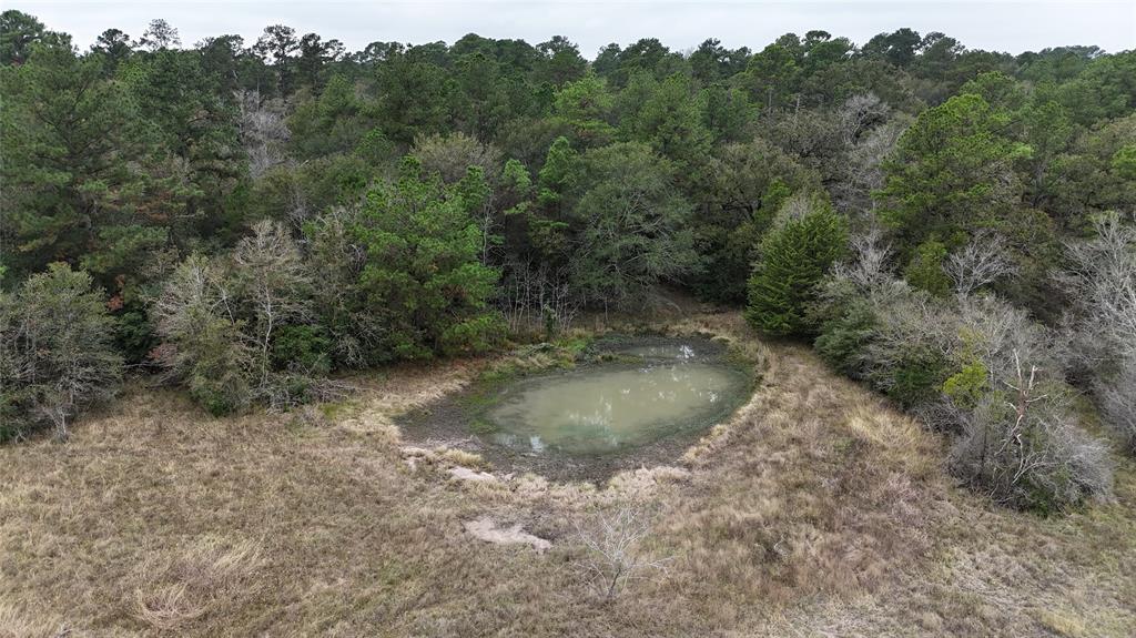 13.71 Acres Tract 1 Tbd Percy Howard Rd, Huntsville, Texas image 3