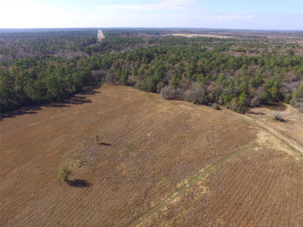 13.71 Acres Tract 1 Tbd Percy Howard Rd, Huntsville, Texas image 5