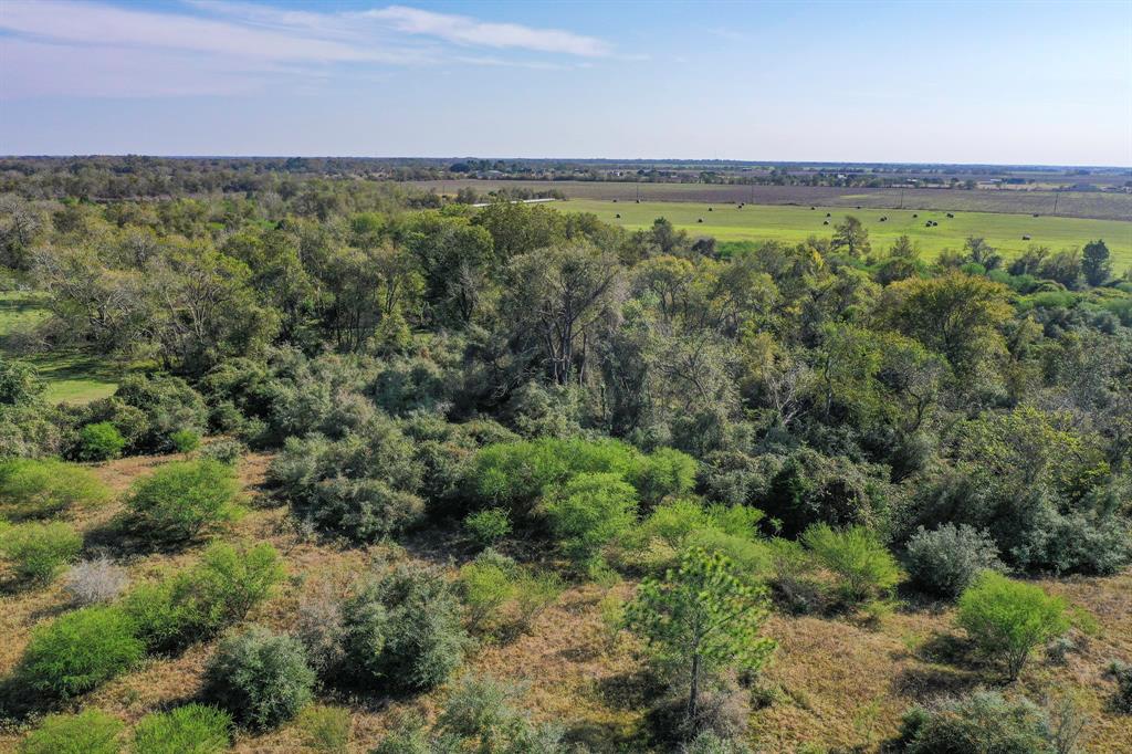 000 Tx-60, East Bernard, Texas image 9