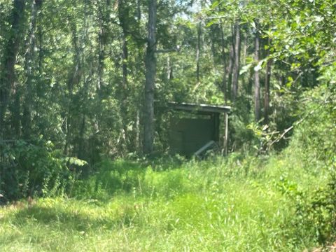 A home in New Caney