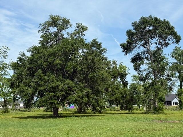 634 Redbird Court, Angleton, Texas image 7