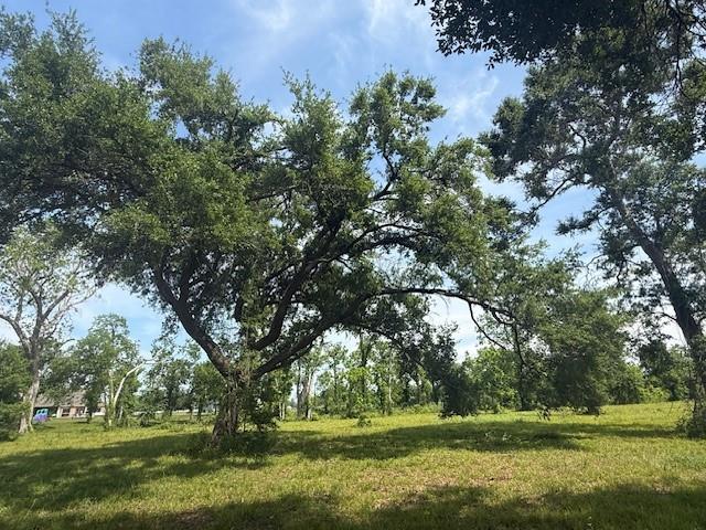 634 Redbird Court, Angleton, Texas image 15