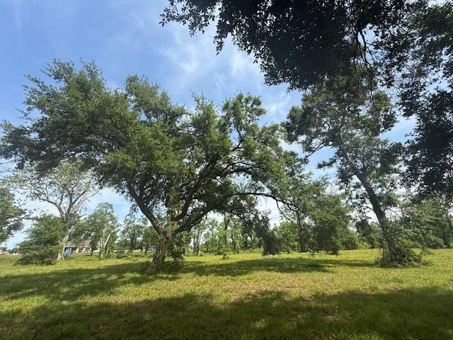 634 Redbird Court, Angleton, Texas image 3