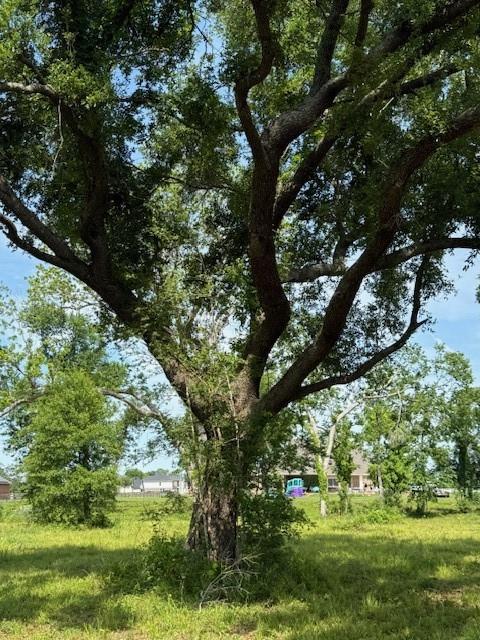 634 Redbird Court, Angleton, Texas image 12