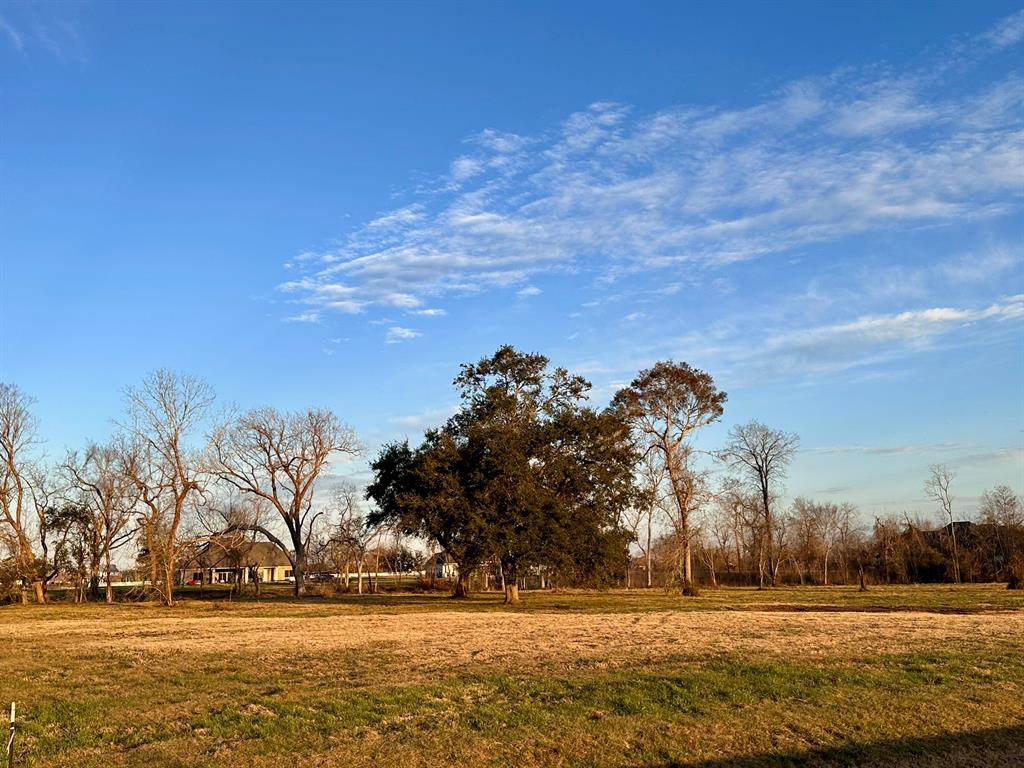 634 Redbird Court, Angleton, Texas image 9