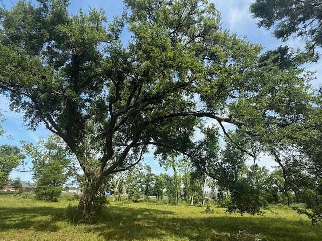 634 Redbird Court, Angleton, Texas image 2