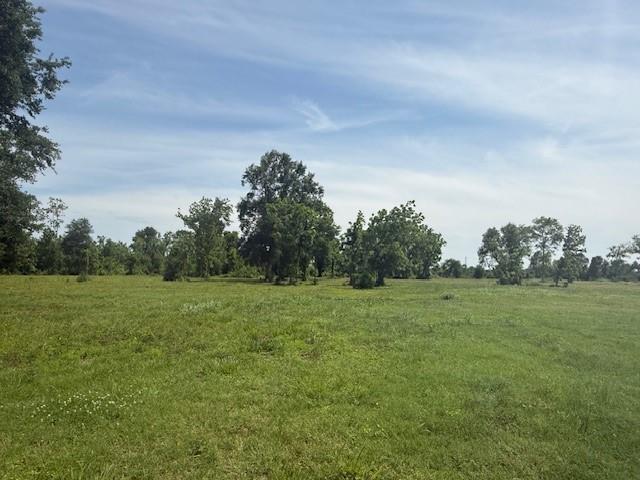 634 Redbird Court, Angleton, Texas image 14