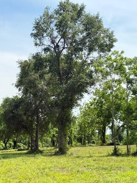 634 Redbird Court, Angleton, Texas image 11
