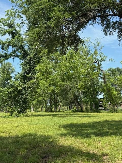634 Redbird Court, Angleton, Texas image 8