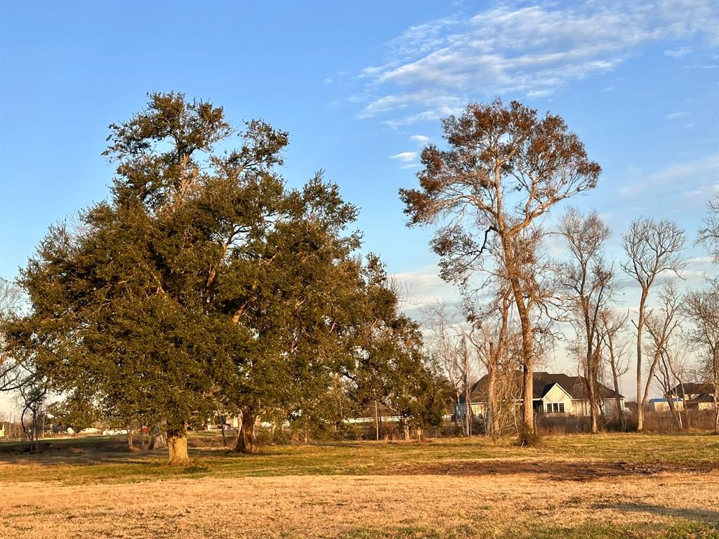 634 Redbird Court, Angleton, Texas image 8