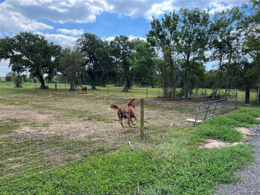 4185 Cr 348 Texas Avenue, Brazoria, Texas image 10