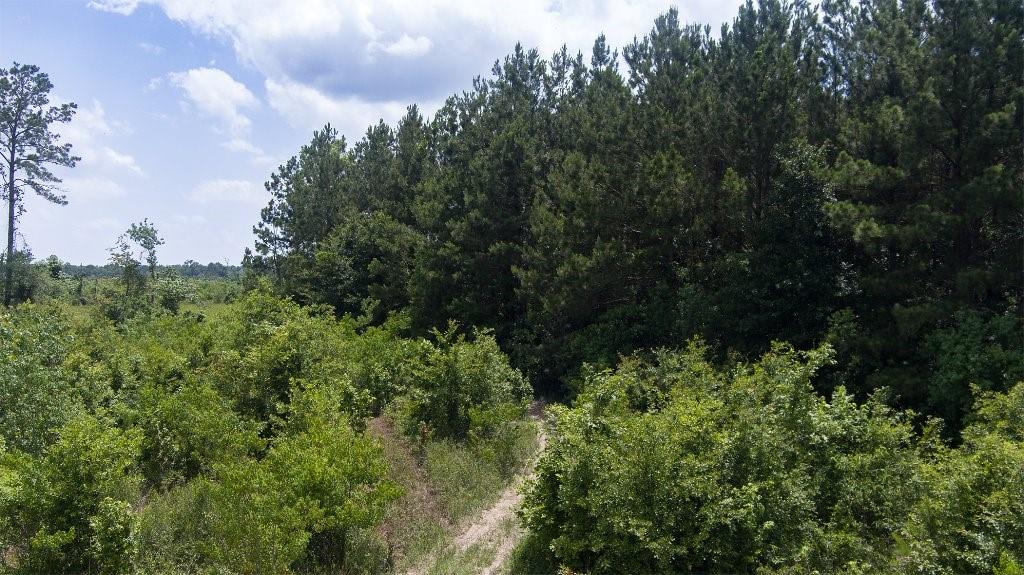 23245 Tx-321, Cleveland, Texas image 6
