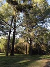 11404 Metts Road, Conroe, Texas image 2