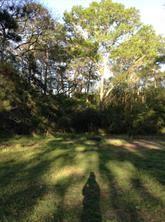 11404 Metts Road, Conroe, Texas image 4